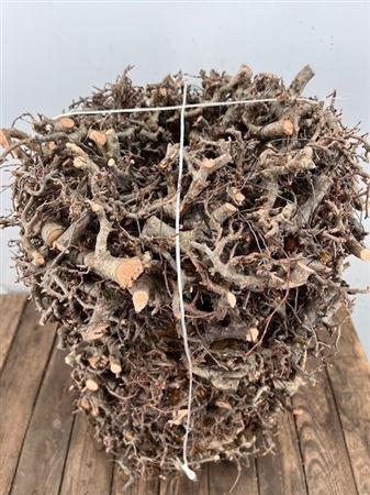 <h4>Wr Bonsai 30cm Natural</h4>