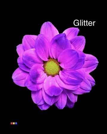 Chr T Chic Milka + Glit Bio