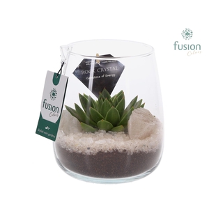 Glazen vaas met Edelstenen met Succulenten