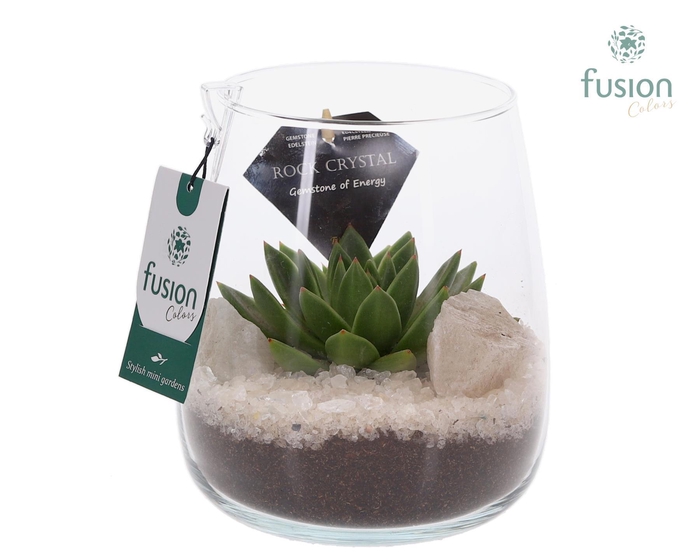 <h4>Glazen vaas met Edelstenen met Succulenten</h4>