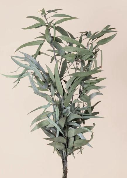 <h4>Pendula green 40/80</h4>