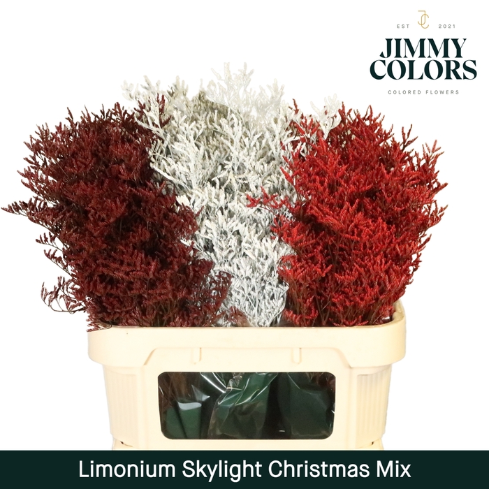 <h4>Limonium Skylight L80 Christmas mix</h4>