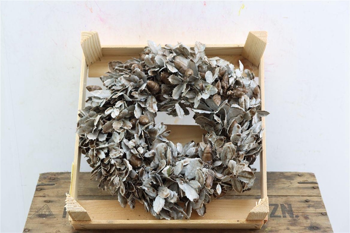 <h4>Wr Steeneik Antique Caramel 30cm</h4>