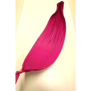 DROOG MARIPA FUCHSIA