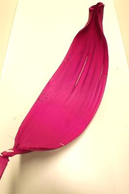 <h4>DROOG MARIPA FUCHSIA</h4>