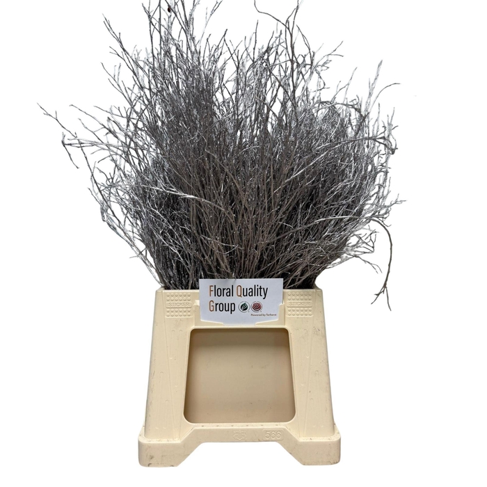 <h4>VACC KLB H%</h4>