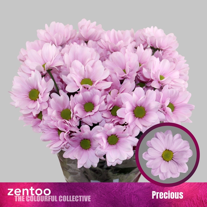 <h4>CHR T PRECIOUS</h4>