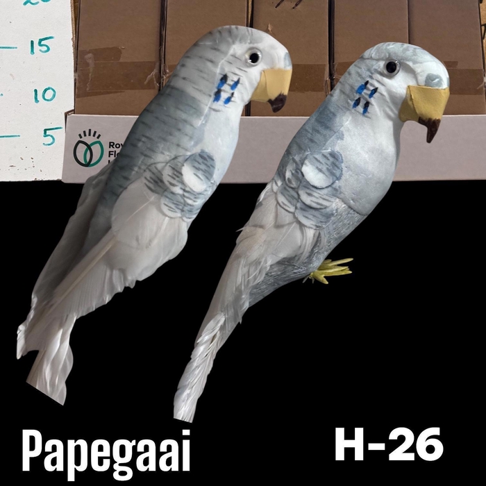 <h4>HUIS EN TUINDECO H%</h4>