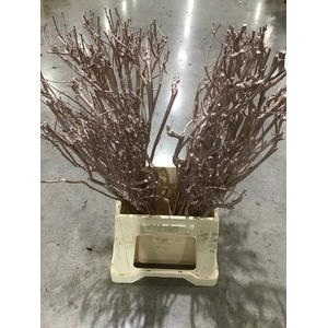 Seringen tak L60 Metalic CHAMPAGNE pb