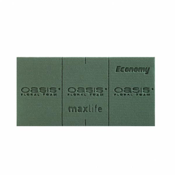 Oasis Economy 20x10x7cm