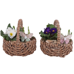 Early Spring Arr. Outdoor Willow Waterhyacint Basket Ø21cm 2PP