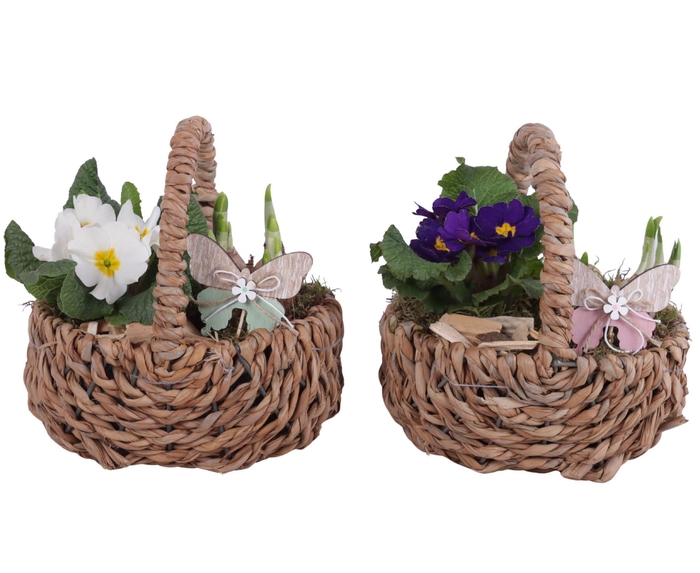<h4>Early Spring Arr. Outdoor Willow Waterhyacint Basket Ø21cm 2PP</h4>