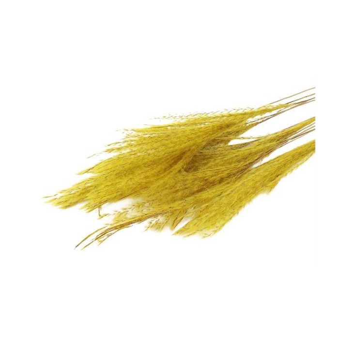 <h4>Bunch Fluffy Silver Grass 10pcs L75</h4>