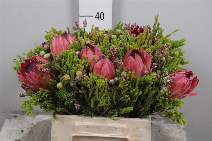 <h4>Kaaps Allerheiligenboeket Bos</h4>