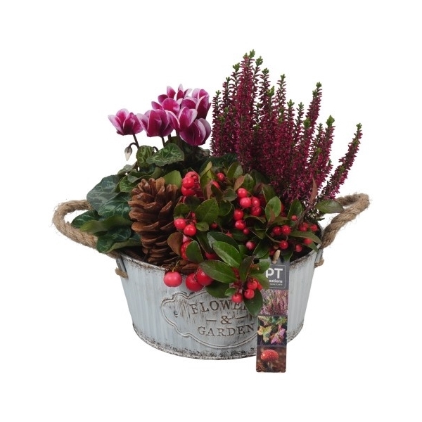 <h4>PTHO4113 Arrangement Herfst Outdoor in metalen pot</h4>