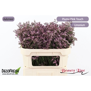 LIM PIUMA PINK TOUCH