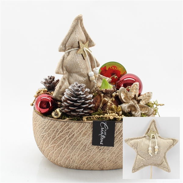 <h4>Arrangementen Hippeastrum H%</h4>