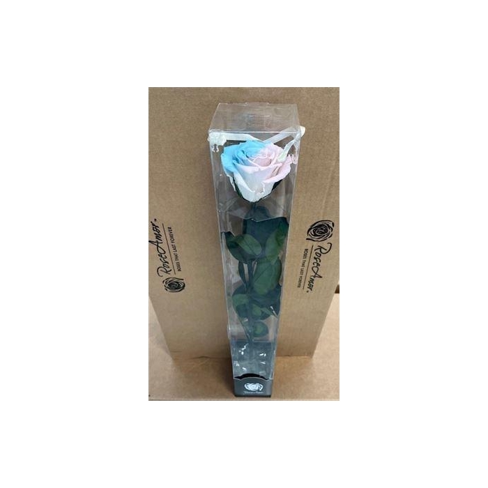 <h4>50cm Stem Bic40</h4>