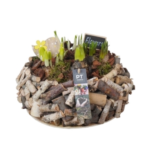 PTBM3144 Arrangement Bloembollenmix in hout pot