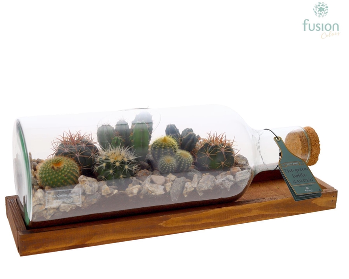 <h4>Green Bottle Fles Medium liggend met Cactussen</h4>
