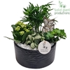 CH003 Loes Black