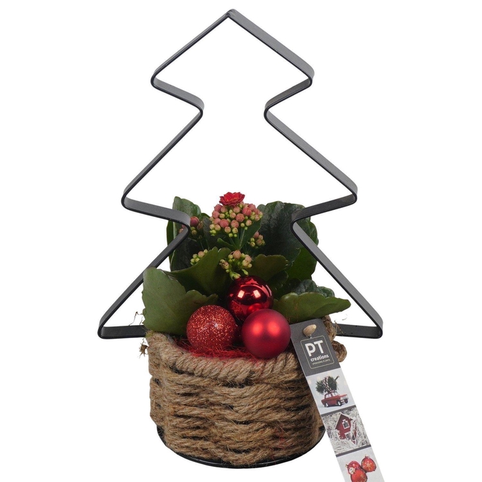 <h4>Arr. Kerst L%</h4>