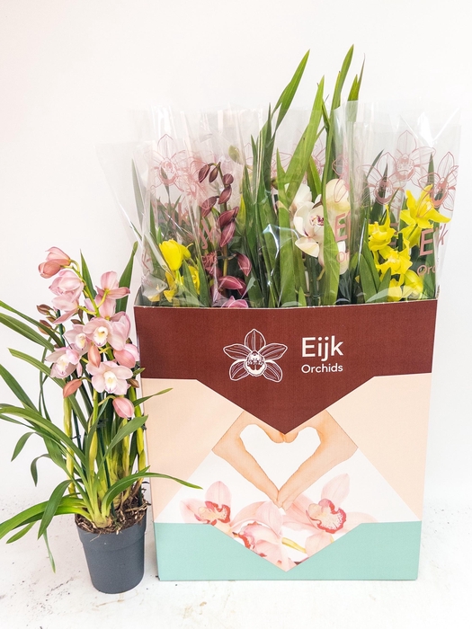 <h4>CYMB GEMENGD</h4>