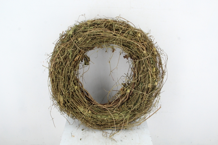 <h4>WREATH HOP BRANCHES 60CM</h4>