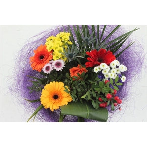 Bq Sisal Bont