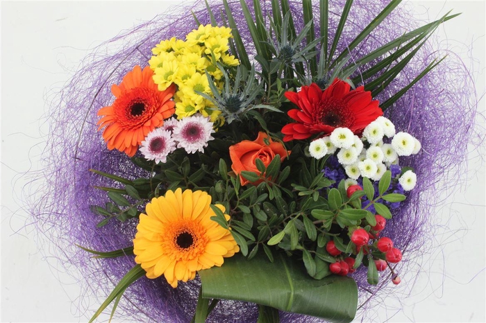 <h4>Bq Sisal Bont</h4>