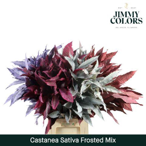 <h4>CASTANEA SAT KLB H%</h4>