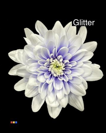 <h4>Chr T 2 Kl Baltica Pastel Lilac + Glit Bio</h4>