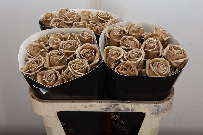 <h4>Wax-Rozen Wax Caramel w26</h4>