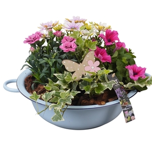 PTPP6852 Arrangement Patio in metalen schaal