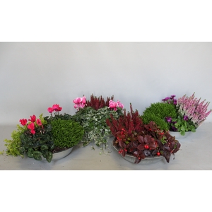 Herfstmixen divers in zinken schaal 29cm