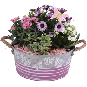 Spring Flower Arr. Outdoor Zinc Grey/Pink Butterfly Ø24cm 4PP