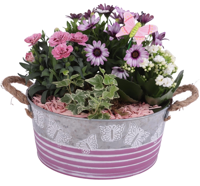 <h4>Spring Flower Arr. Outdoor Zinc Grey/Pink Butterfly Ø24cm 4PP</h4>