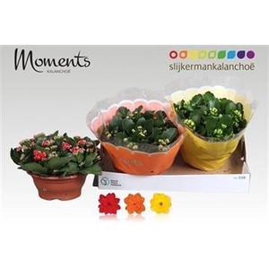 KALAN CALAN MIX MOMENTS P23