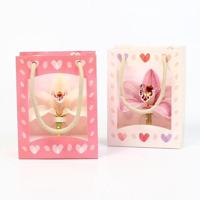 <h4>CYMB VERPAKT P BLOEM 5001</h4>