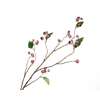 Eucalyptus Berry Pink
