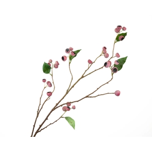 Eucalyptus Berry Pink