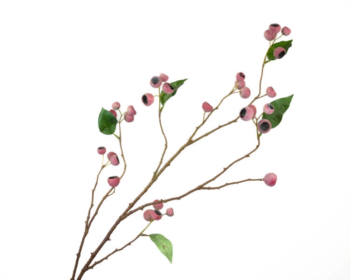 <h4>Eucalyptus Berry Pink</h4>