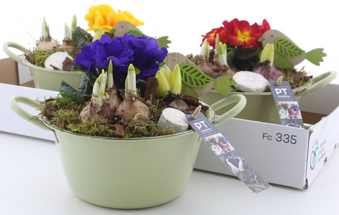 <h4>ARR PL IN SCHAAL</h4>