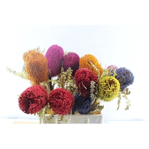 Banksia Special Mix