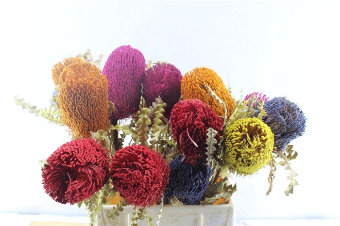 <h4>Banksia Special Mix</h4>