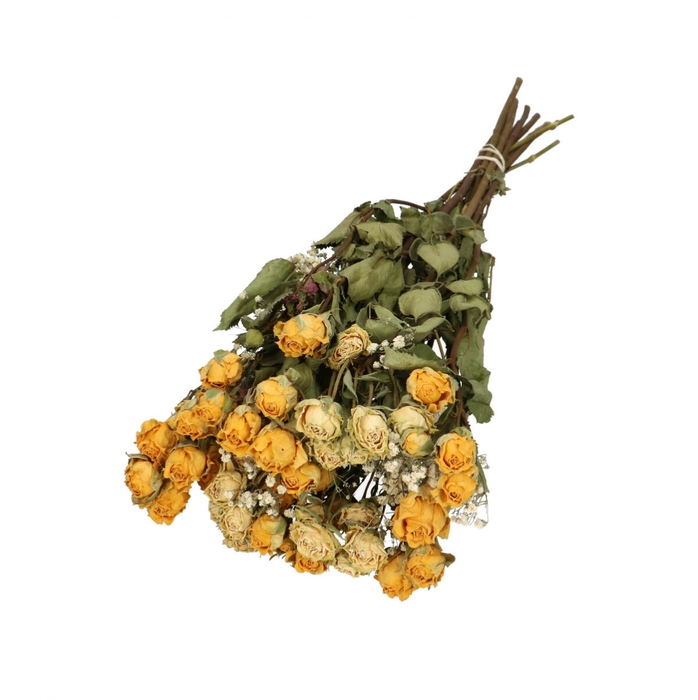 Dried flowers Bouquet rose/gyps 45-50cm