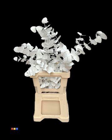 <h4>Cinerea White</h4>