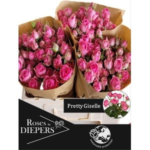 R TR PRETTY GISELLE!