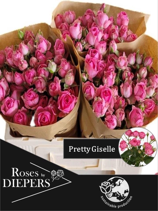 <h4>R TR PRETTY GISELLE!</h4>