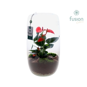 Green Bottle Isabella XXLarge met Anthurium